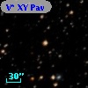 V* XY Pav