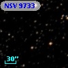NSV  9733