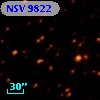 NSV  9822