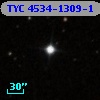 TYC 4534-1309-1
