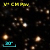 V* CM Pav