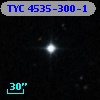 TYC 4535-300-1