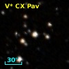 V* CX Pav