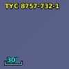 TYC 8757-732-1