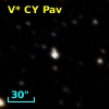 V* CY Pav