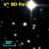 V* BD Pav