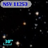 NSV 11253