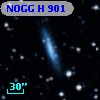 NOGG H  901