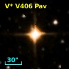 V* V406 Pav
