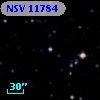 NSV 11784