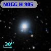 NOGG H  905