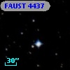 FAUST 4437