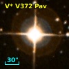 V* V372 Pav