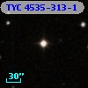 TYC 4535-313-1