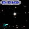 CD-53  8429