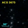 ACO  3675