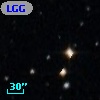 LGG 441