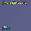 TYC 8429-313-1