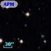 APMCC 641