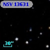 NSV 13631