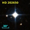 HD 202650