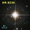 HR  8236