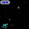 APMSCC 38