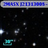 2MASX J21313008-4317535