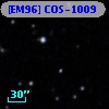 [EM96] COS-1009