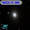 NOGG H  306