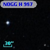 NOGG H  987