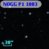 NOGG P1 1003