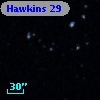 Hawkins  29