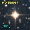 HD 128067