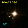 BD+75   290
