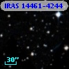 IRAS 14461-4244
