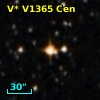 NSV  6804