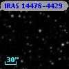 IRAS 14478-4429