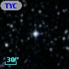 TYC 8293-3769-1