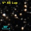 V* AE Lup