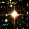 V* IZ Lup