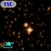 TYC 8303-69-1