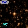 TYC 8303-93-1