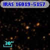 IRAS 16019-5157