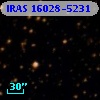 IRAS 16028-5231
