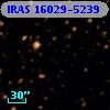 IRAS 16029-5239