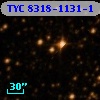 TYC 8318-1131-1