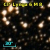 Cl* Lynga    6      M       8