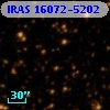 IRAS 16072-5202