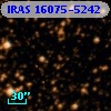 IRAS 16075-5242